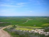 DSCN2742.JPG