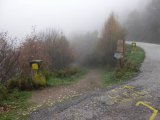 LePuy_20091124_1207.JPG