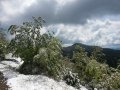 20160425_112531.jpg