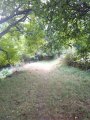IMG_20160916_123653.jpg