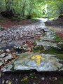 IMG_20160917_104630.jpg
