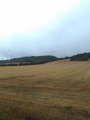 IMG_20160918_094253.jpg