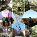 IMG_20161101_203240.jpg