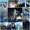 IMG_20161107_203721.jpg
