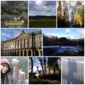 IMG_20170114_202819.jpg