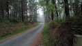 IMG_20170415_083617.jpg