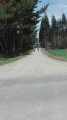 IMG_20170416_141357.jpg