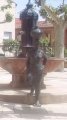 IMG_20170505_154318.jpg