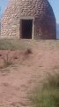 IMG_20170506_114515.jpg