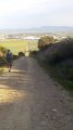 IMG_20170508_081739.jpg