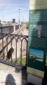IMG_20170508_102814.jpg