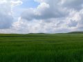 Cammino 0115 - 20070428.jpg