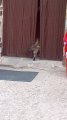 IMG_20170527_155031.jpg