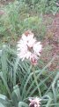 IMG_20170528_102605.jpg