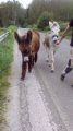 IMG_20170603_105857.jpg