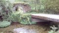 IMG_20170603_133036.jpg
