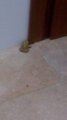 IMG_20170609_005125.jpg