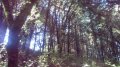IMG_20170610_090641.jpg