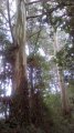 IMG_20170611_123033.jpg