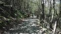 IMG-20170613-WA0015.jpg