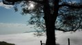 IMG-20170613-WA0005.jpg