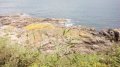 IMG_20170614_165140.jpg
