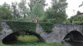 IMG-20170615-WA0014.jpg