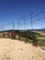 IMG-20170616-WA0008.jpg