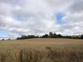 IMG-20170616-WA0009.jpg