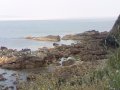IMG_20170618_201727.jpg