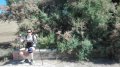 IMG-20170618-WA0007.jpg