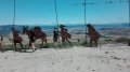 IMG-20170617-WA0003.jpg
