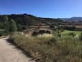IMG-20170617-WA0008.jpg