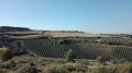 IMG-20170619-WA0001.jpg