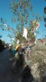 IMG-20170619-WA0006.jpg