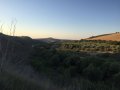IMG-20170619-WA0009.jpg