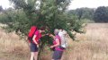 IMG-20170620-WA0000.jpg
