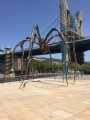 IMG-20170621-WA0017.jpg