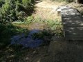 IMG_20170811_121350.jpg
