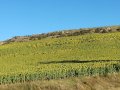 IMG_20170812_082837.jpg