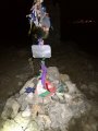 IMG_20170815_013105.jpg