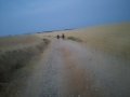 IMG_20170815_070317.jpg