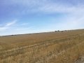 IMG_20170816_153457.jpg
