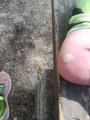 IMG_20170816_145733.jpg