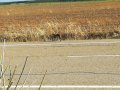 IMG_20170817_102044.jpg
