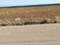 IMG_20170817_102145.jpg