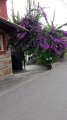 20170903_131040.jpg