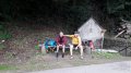20170912_123716.jpg