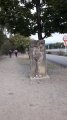 20170917_093613.jpg