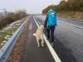 20171218_114701.jpg